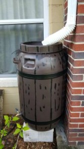 painted rain barrel installed