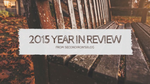 My Year in Review (2015)