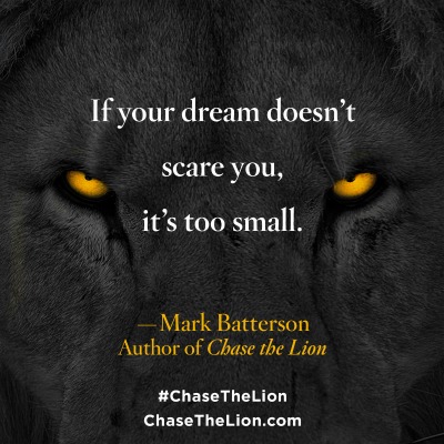 Chase the Lion, Book Review, lions